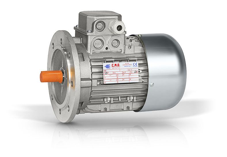 Double polarity motors